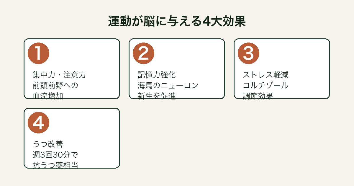 運動が脳の集中力・記憶力・ストレス・うつに与える効果を示す図解